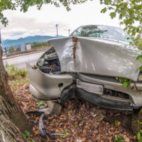 vehicle-struck-by-a-tree vehicle-struck-by-a-tree